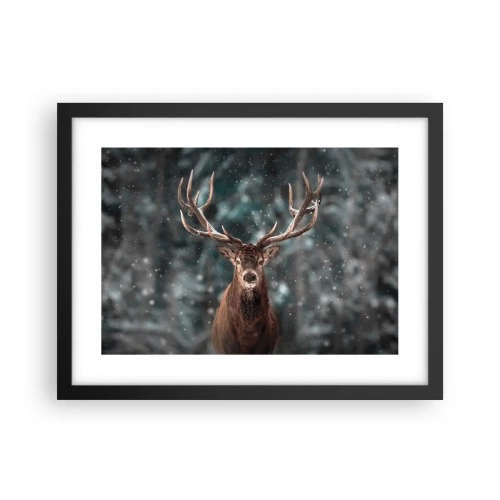 Affisch i svart ram - Krönt skogens kung - 40x30 cm