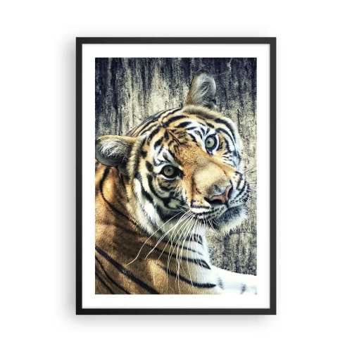 Affisch i svart ram - Närbild av en tiger mot en naturlig vägg - 50x70cm - Porträtt i ljusstrålar - Modern väggdekoration för vardagsrum och sovrum ARTTOR