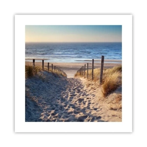 Affisch - Havets brus, fågelsång, tom strand bland träden - 40x40 cm