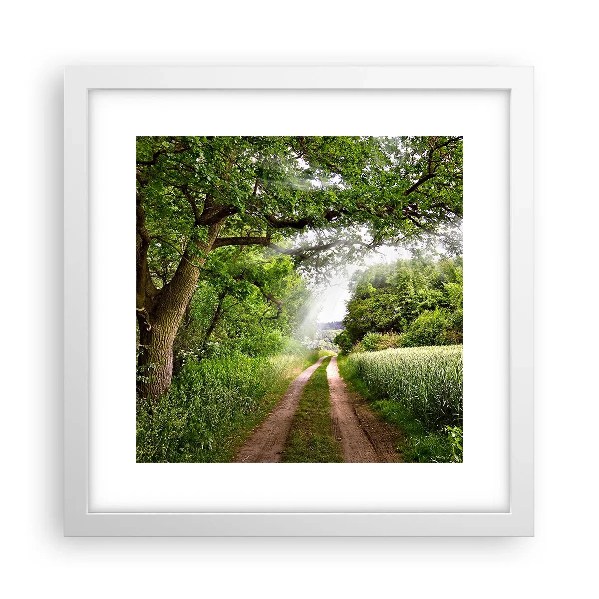 Affisch i vit ram - Et in Arcadia ego - 30x30 cm