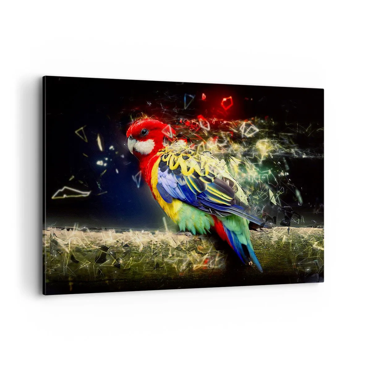 Canvastavla - Bild på duk - Skenets bud - 120x80 cm