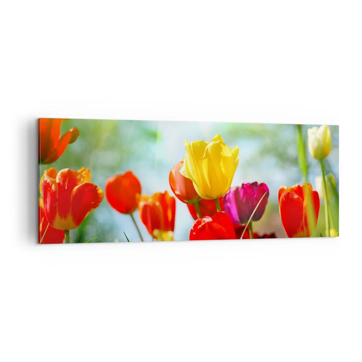 Canvastavla - Bild på duk - Solens alla färger - 140x50 cm