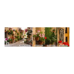Provbit av självhäftande fototapet Deluxe Sticker - I blommornas flod - Stad, Italien, Vackra gator - 100x30 cm