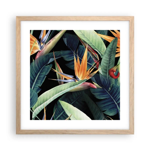 Affisch i ram av ljusek - Tropikens brinnande blommor - 40x40 cm