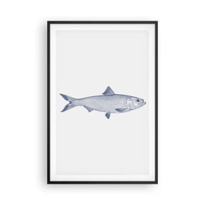 Affisch i svart ram - Hälsningar från de nordliga haven - 61x91 cm