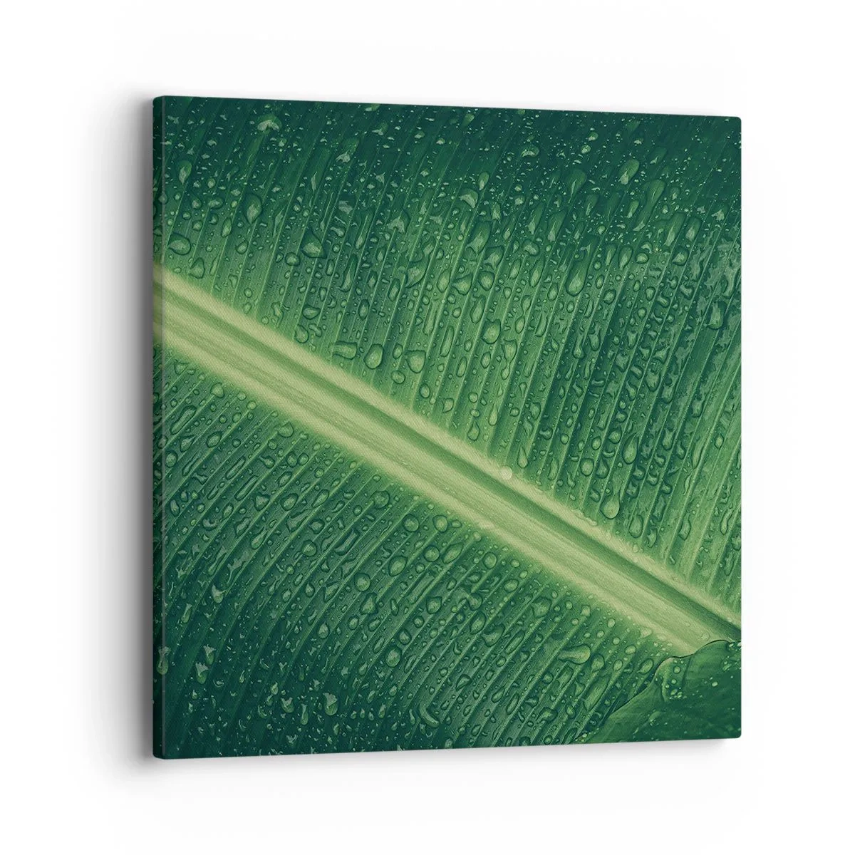 Canvastavla - Bild på duk - Grönskans struktur - 40x40 cm