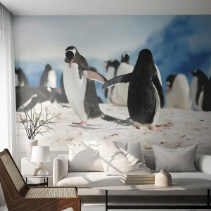 Fototapet på mått Premium Canvas - Dans på snön - Pingvin, Antarktis, Landskap