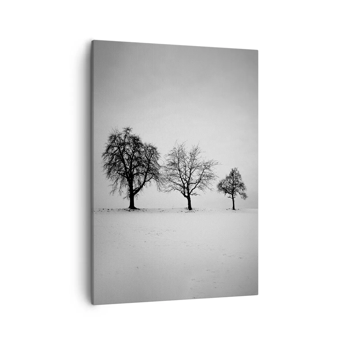 Canvastavla - Bild på duk - Vad drömmer de om? - 50x70 cm