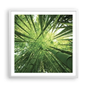 Affisch i vit ram - I en bambushage - 60x60 cm