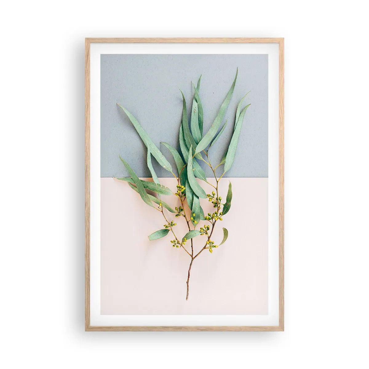 Affisch i ram av ljusek - Pastellens subtilitet - 61x91 cm