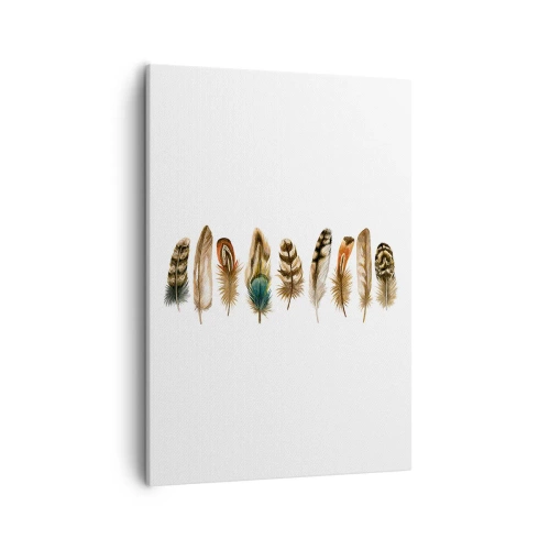 Canvastavla - Bild på duk - Fjädervariation - 50x70 cm
