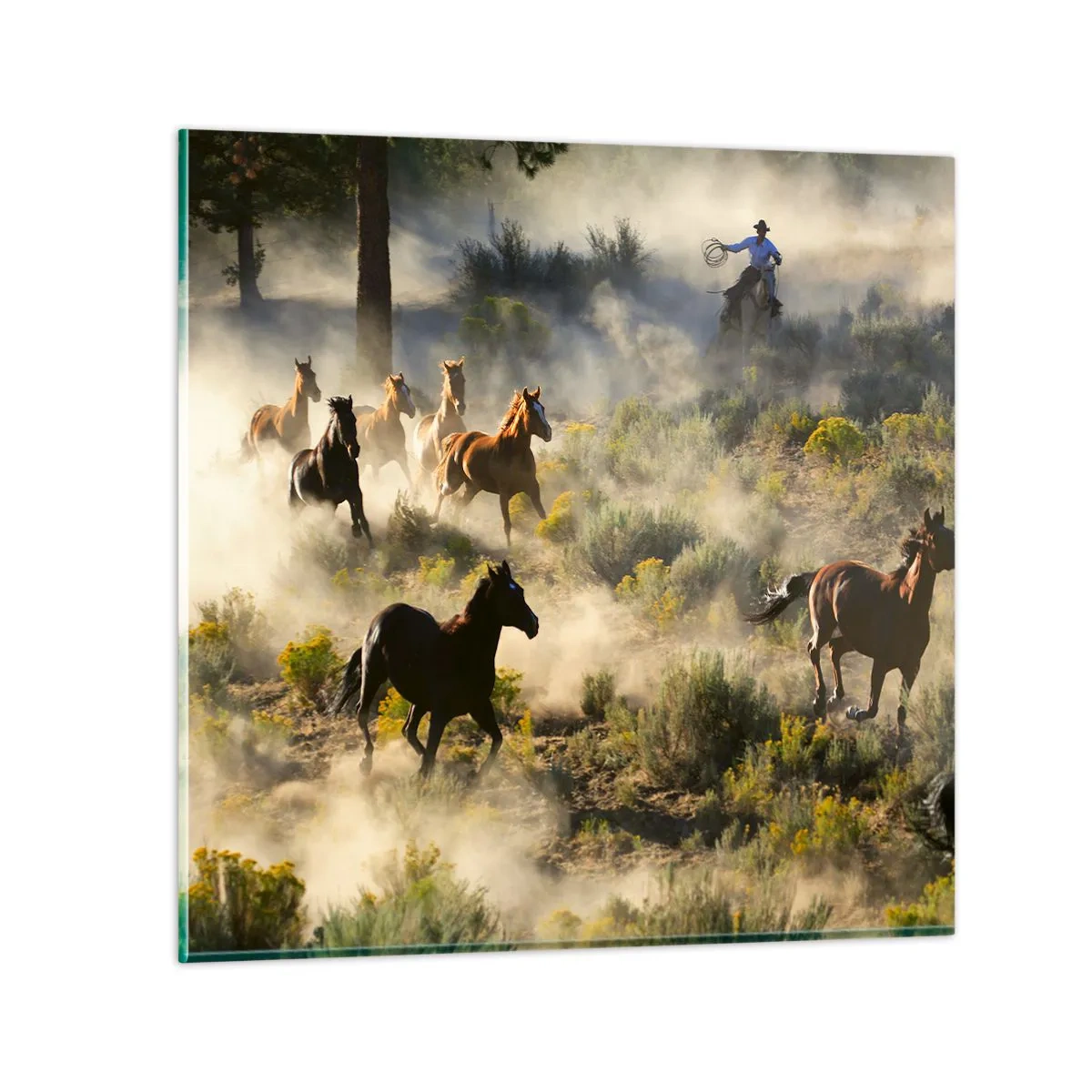 Glastavla - Bild på glas - Tävlande - frihet eller manlig styrka? - 70x70 cm