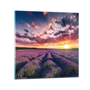 Glastavla - Bild på glas - Lavandelvärld - 70x70 cm