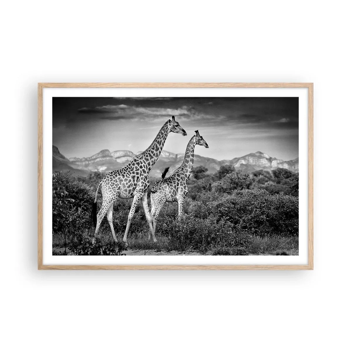 Affisch i ram av ljusek - Högre klasser i Afrika - 91x61 cm