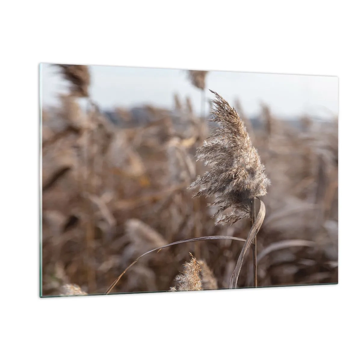 Glastavla - Bild på glas - Dags att flyga bort med vinden - 120x80 cm