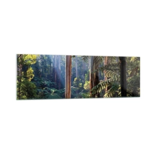 Glastavla - Bild på glas - Skogens saga - 160x50 cm