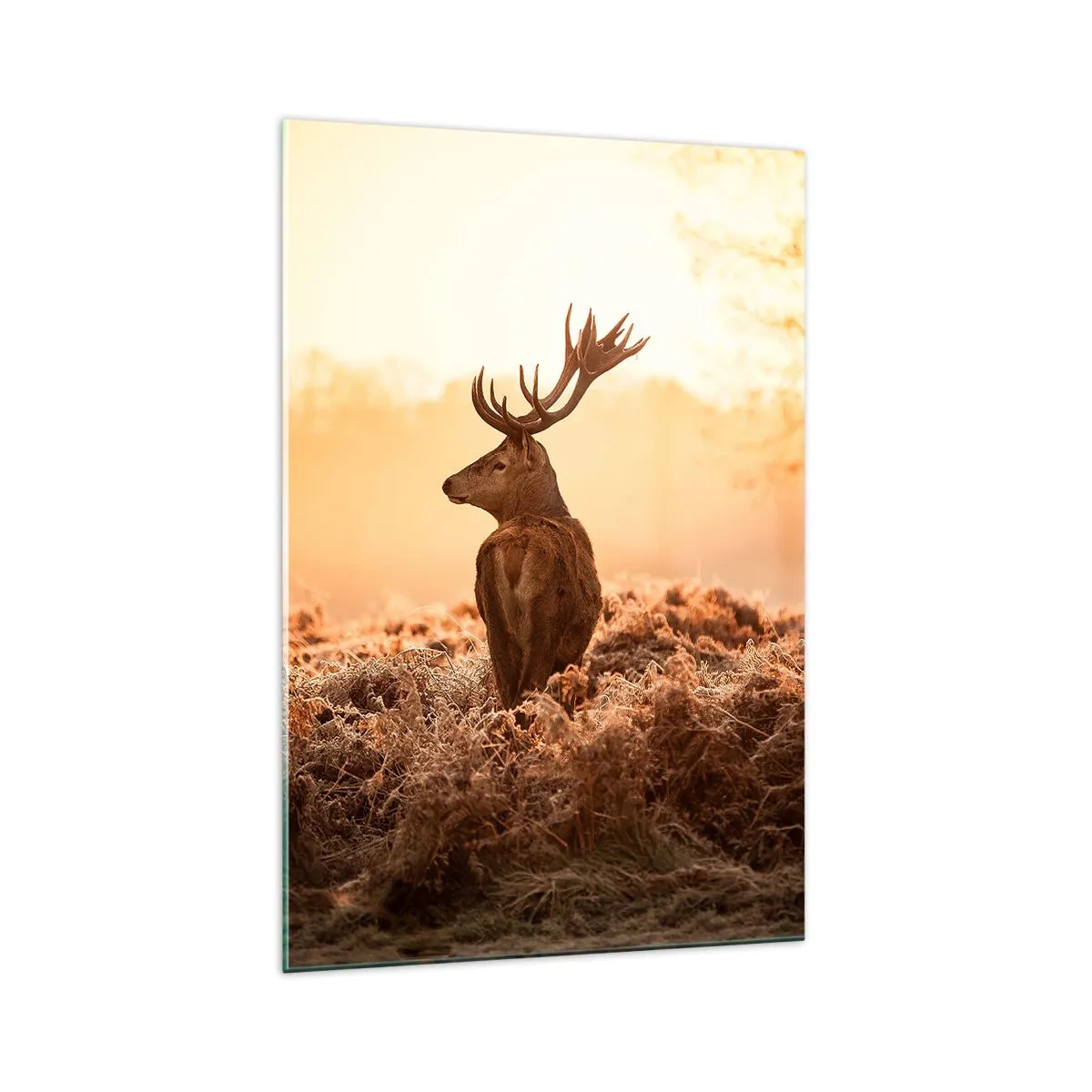 Glastavla - Bild på glas - Herre på godset - 70x100 cm