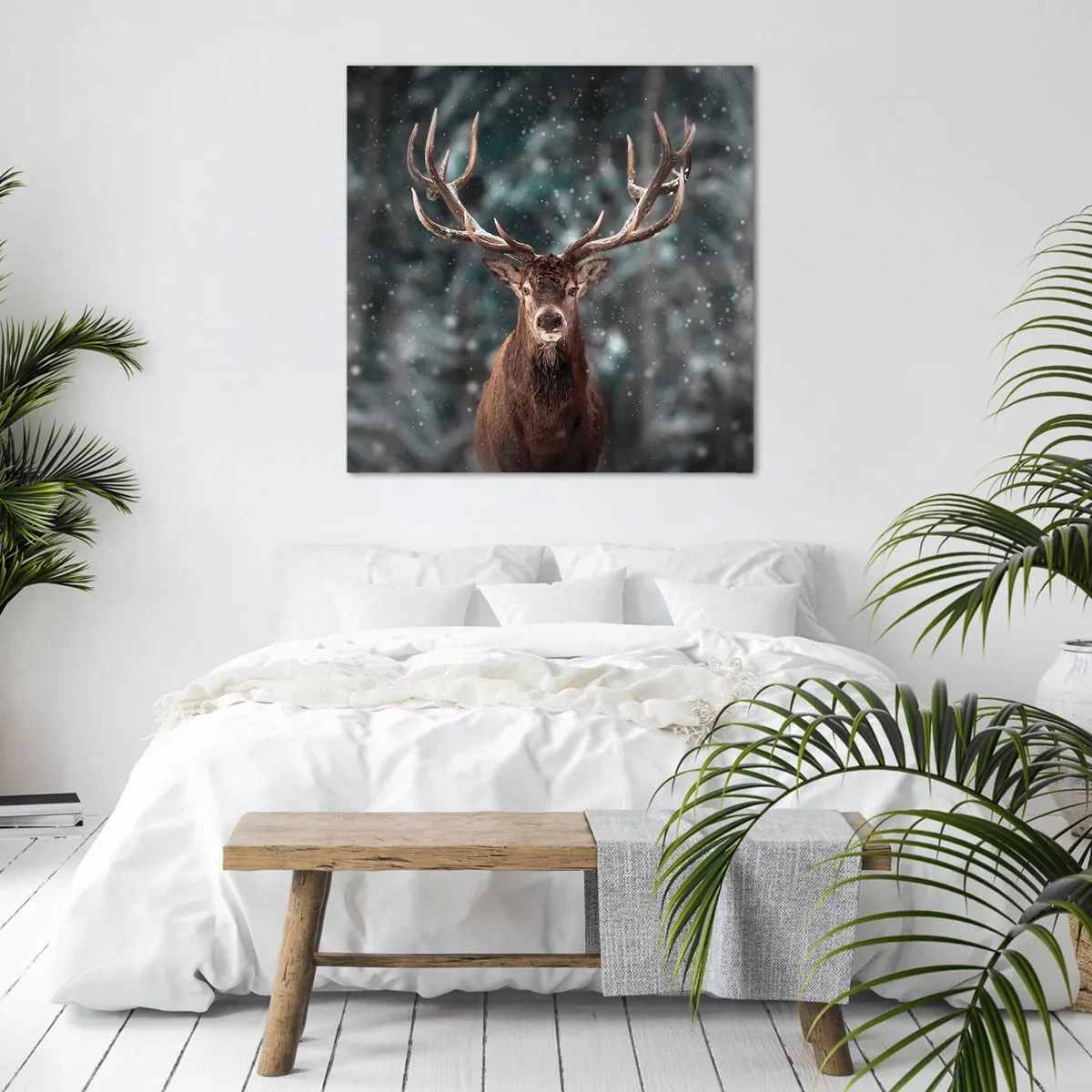 Canvastavla - Bild på duk - Krönt skogens kung - 30x30 cm