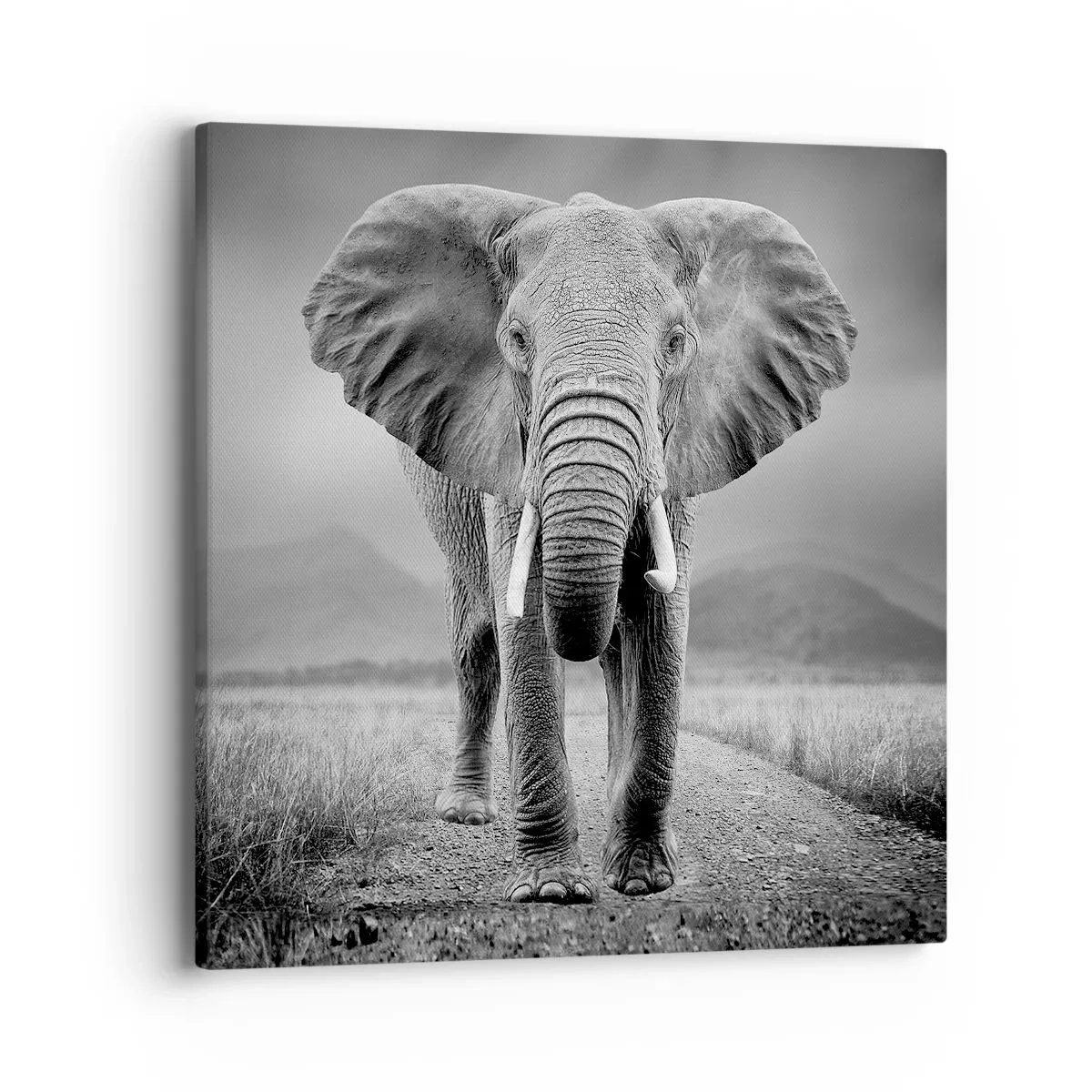 Canvastavla - Bild på duk - Värden hälsar välkommen - 40x40 cm