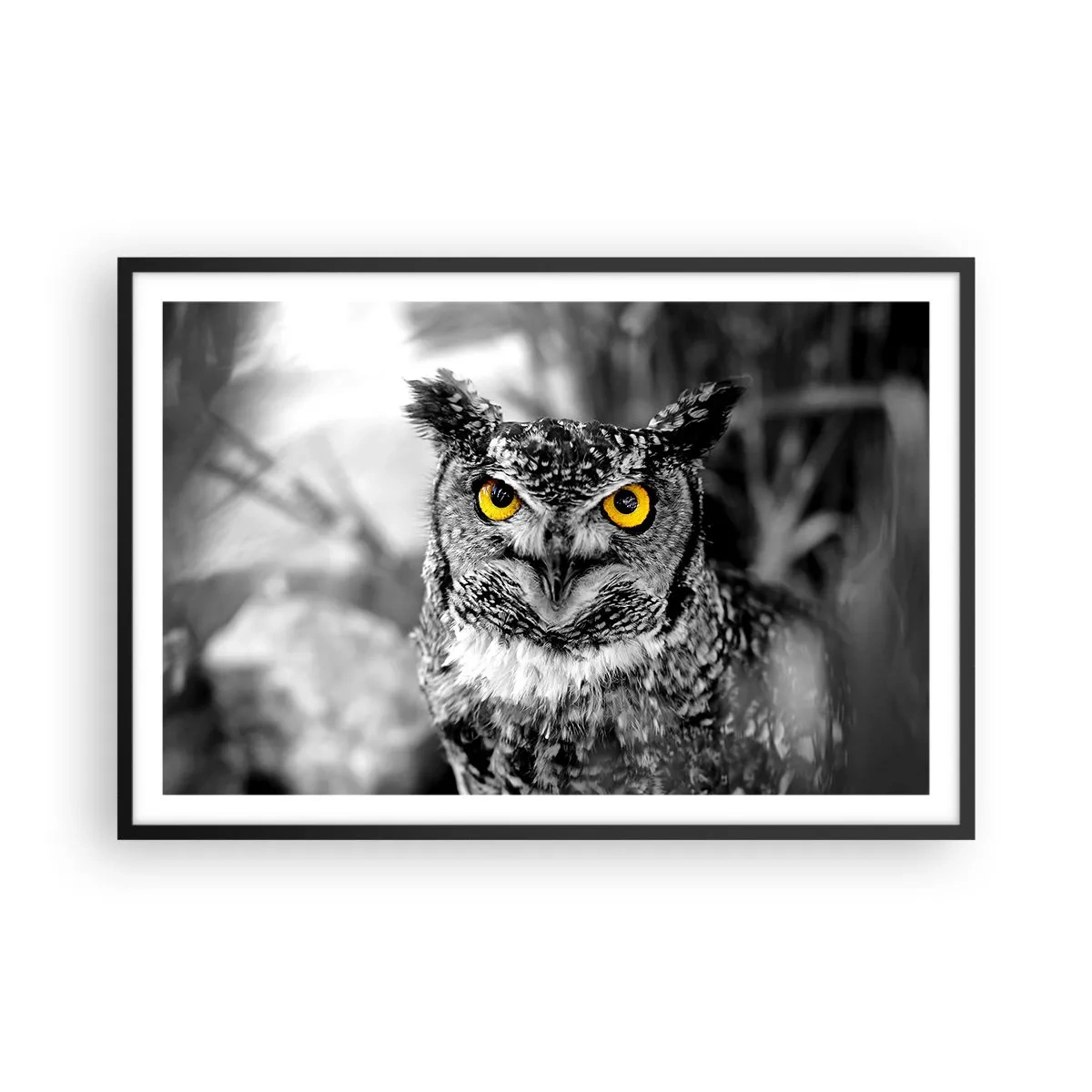 Affisch i svart ram - Inget kommer undan - 91x61 cm