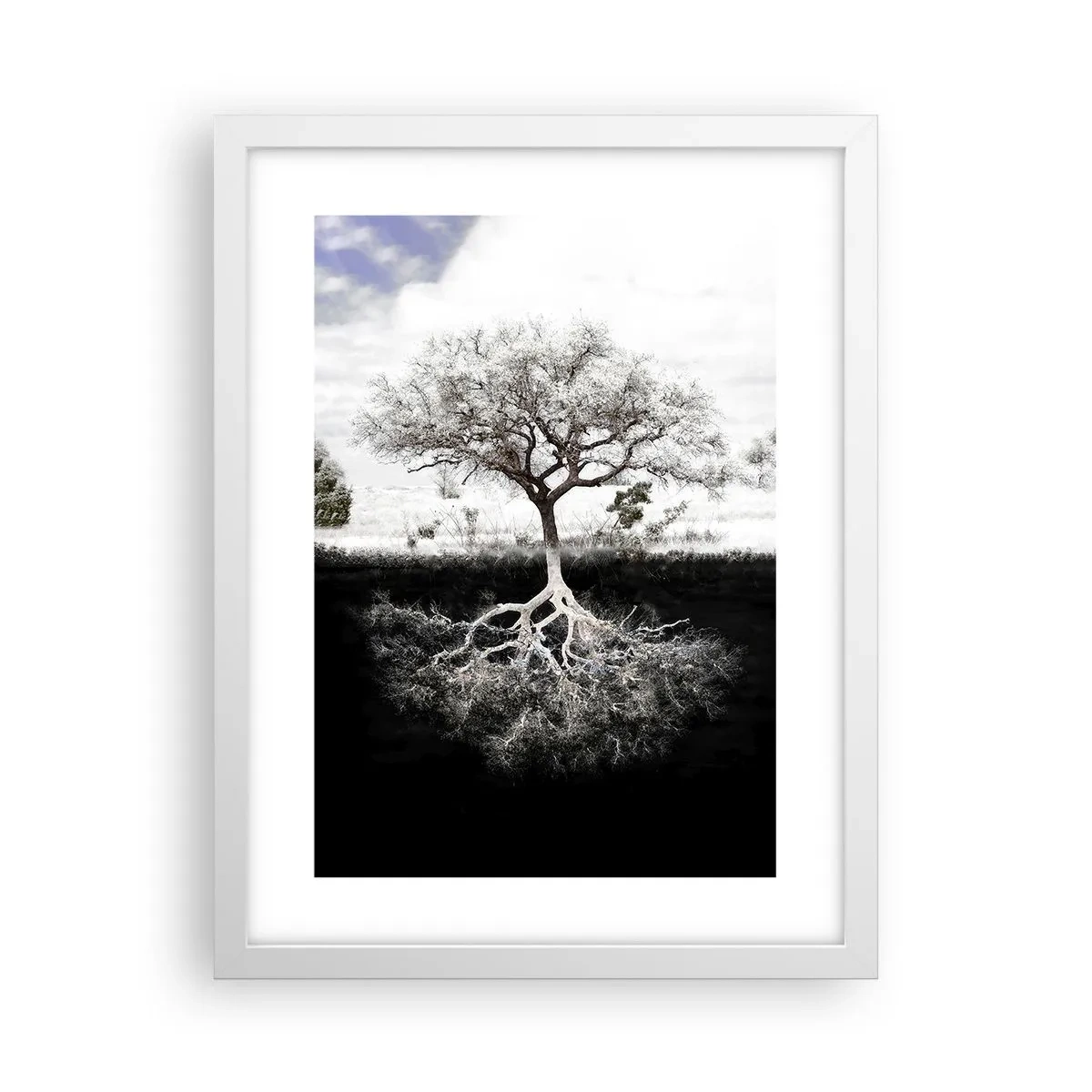 Affisch i vit ram - Upptäckt av världens natur - 30x40 cm