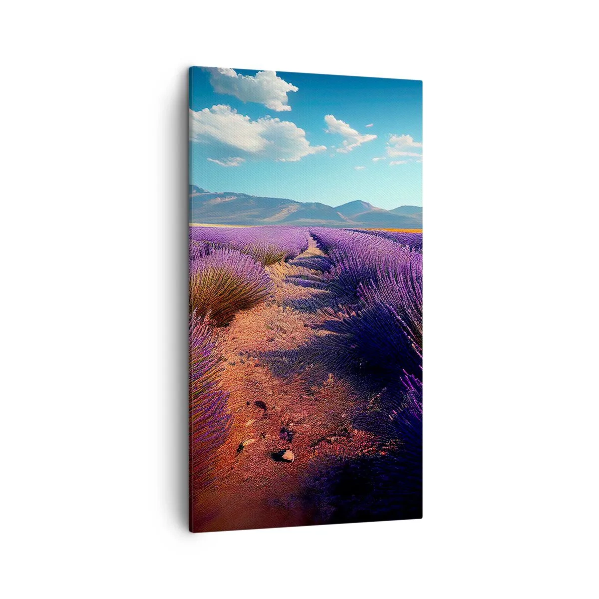 Canvastavla - Bild på duk - Doftande fält - 45x80 cm