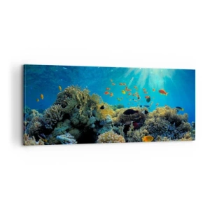 Canvastavla - Bild på duk - Undervatenskatter - 100x40 cm