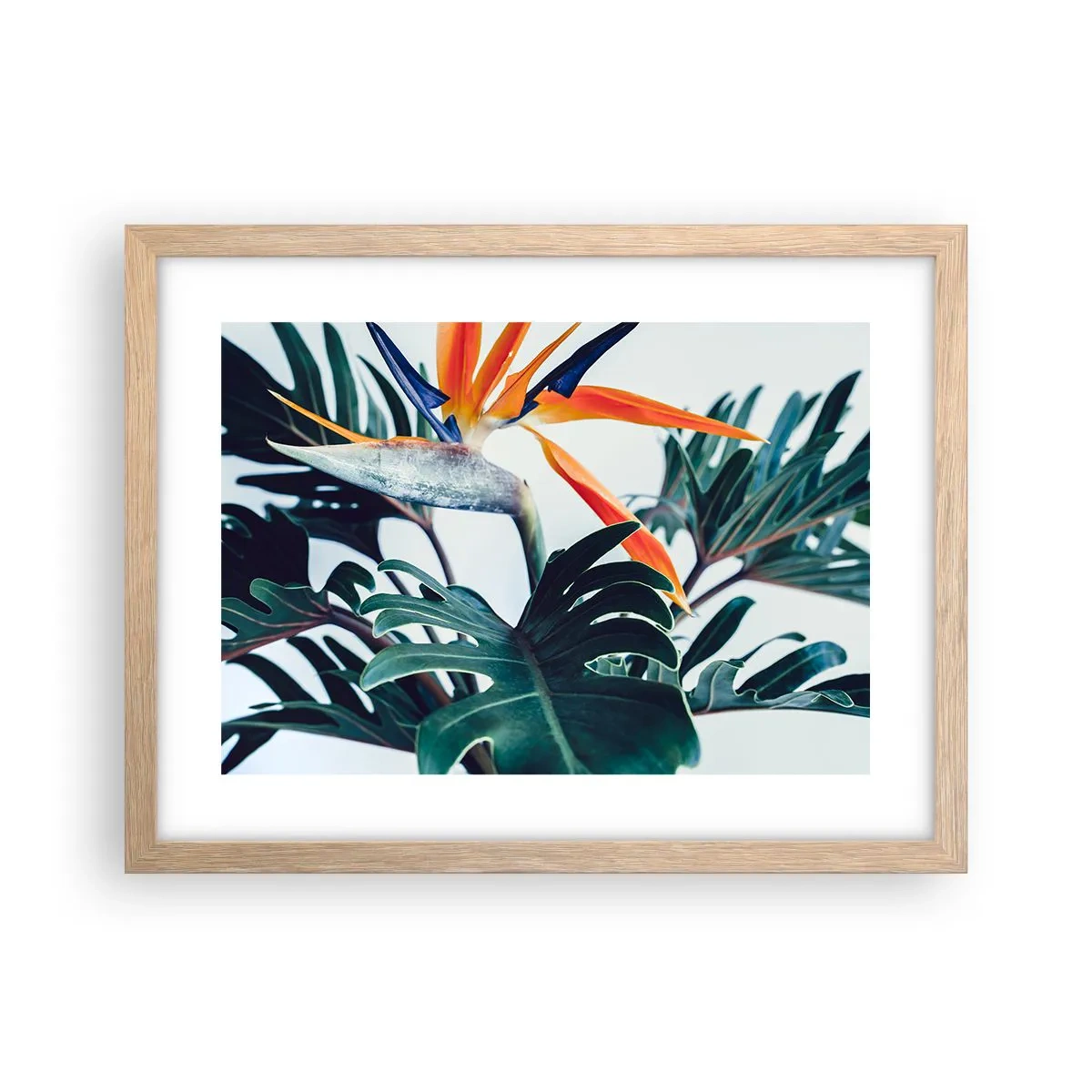 Affisch i ram av ljusek - Fågelbuske - 40x30 cm