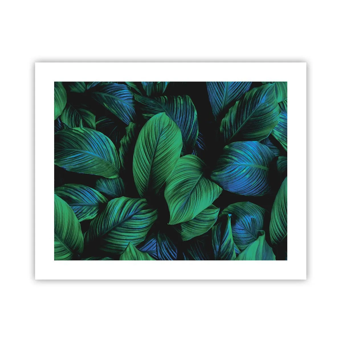 Affisch - I gröna folkmassan - 50x40 cm