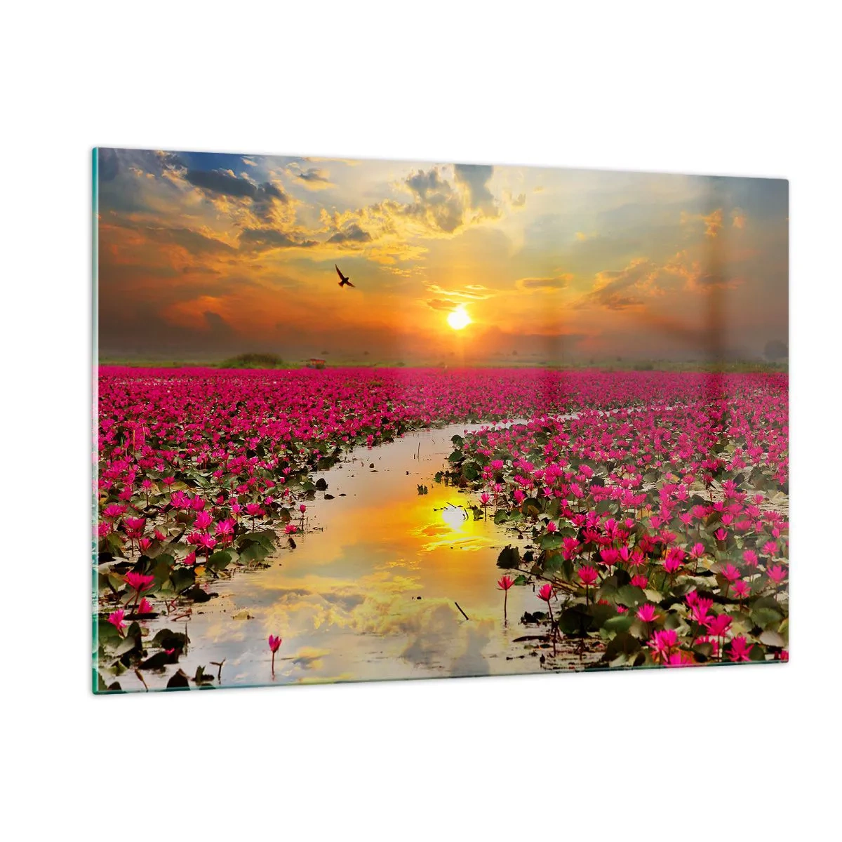 Glastavla - Bild på glas - Sjöns hemlighetsfulla liv - 120x80 cm