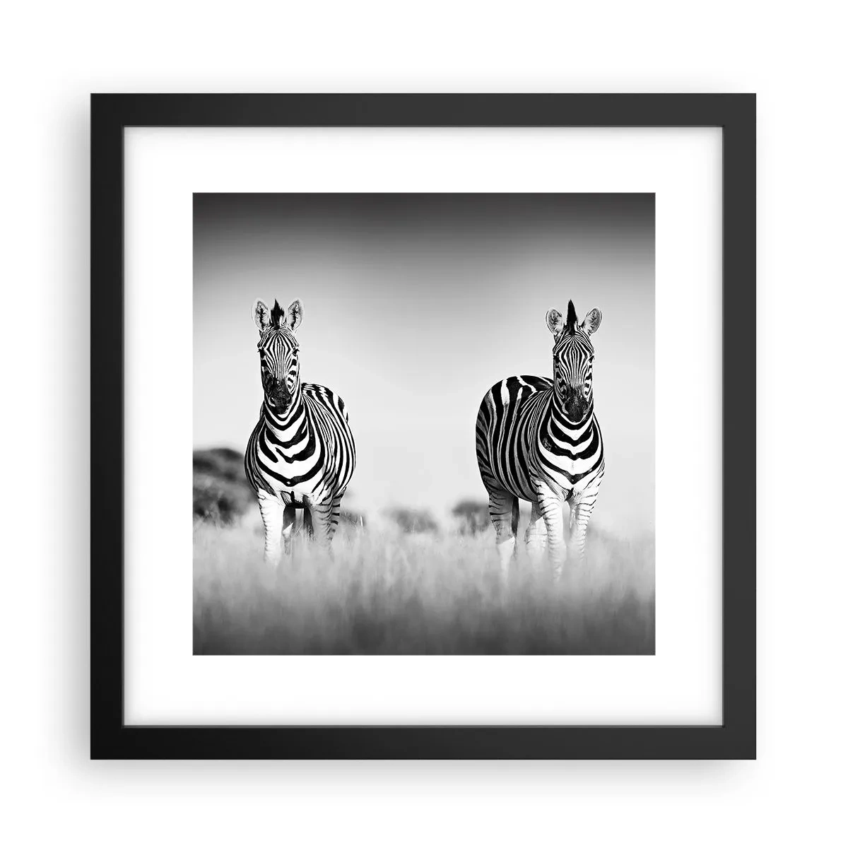 Affisch i svart ram - Men dock världen är svart-vit - 30x30 cm