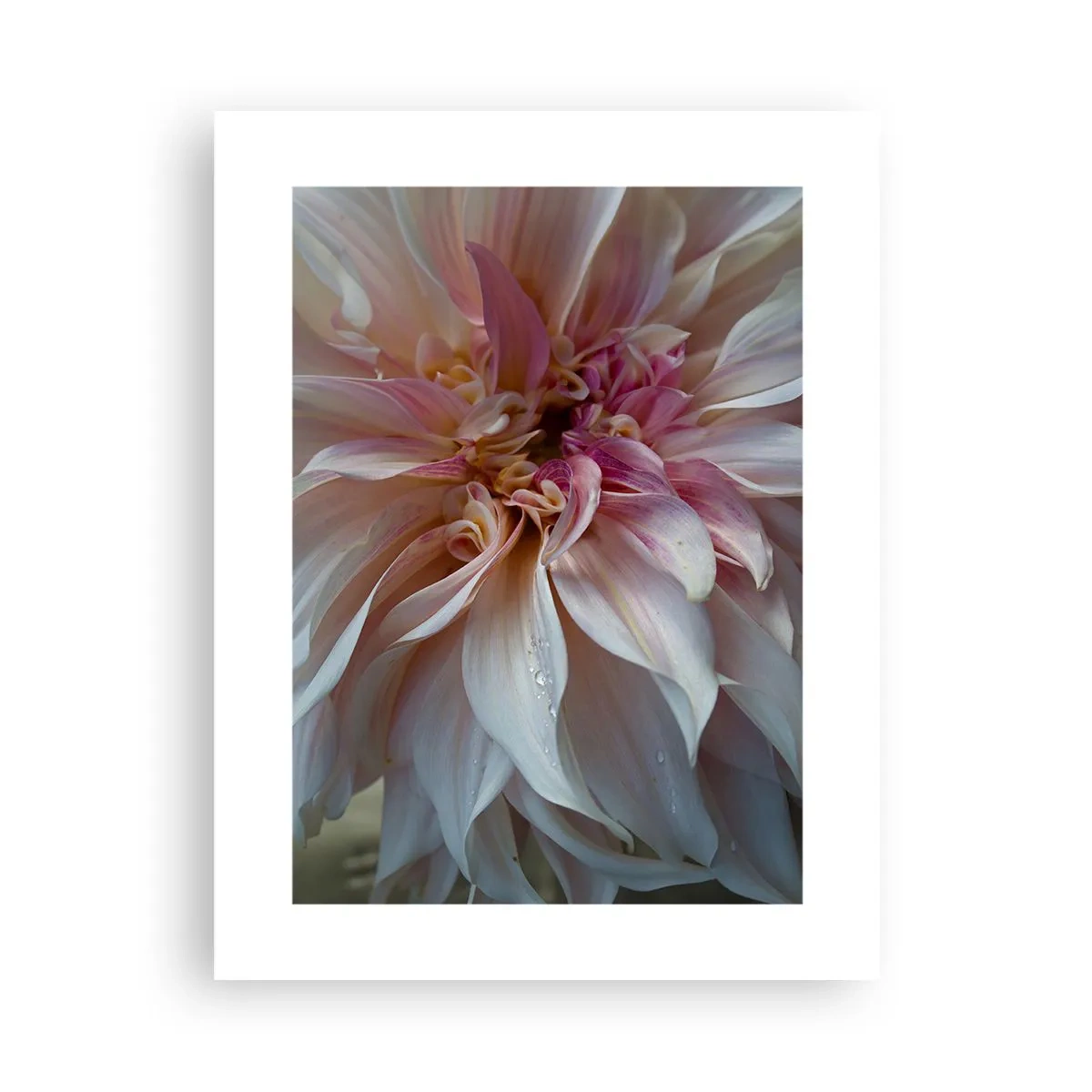 Affisch - Blommande friskhet - 30x40 cm