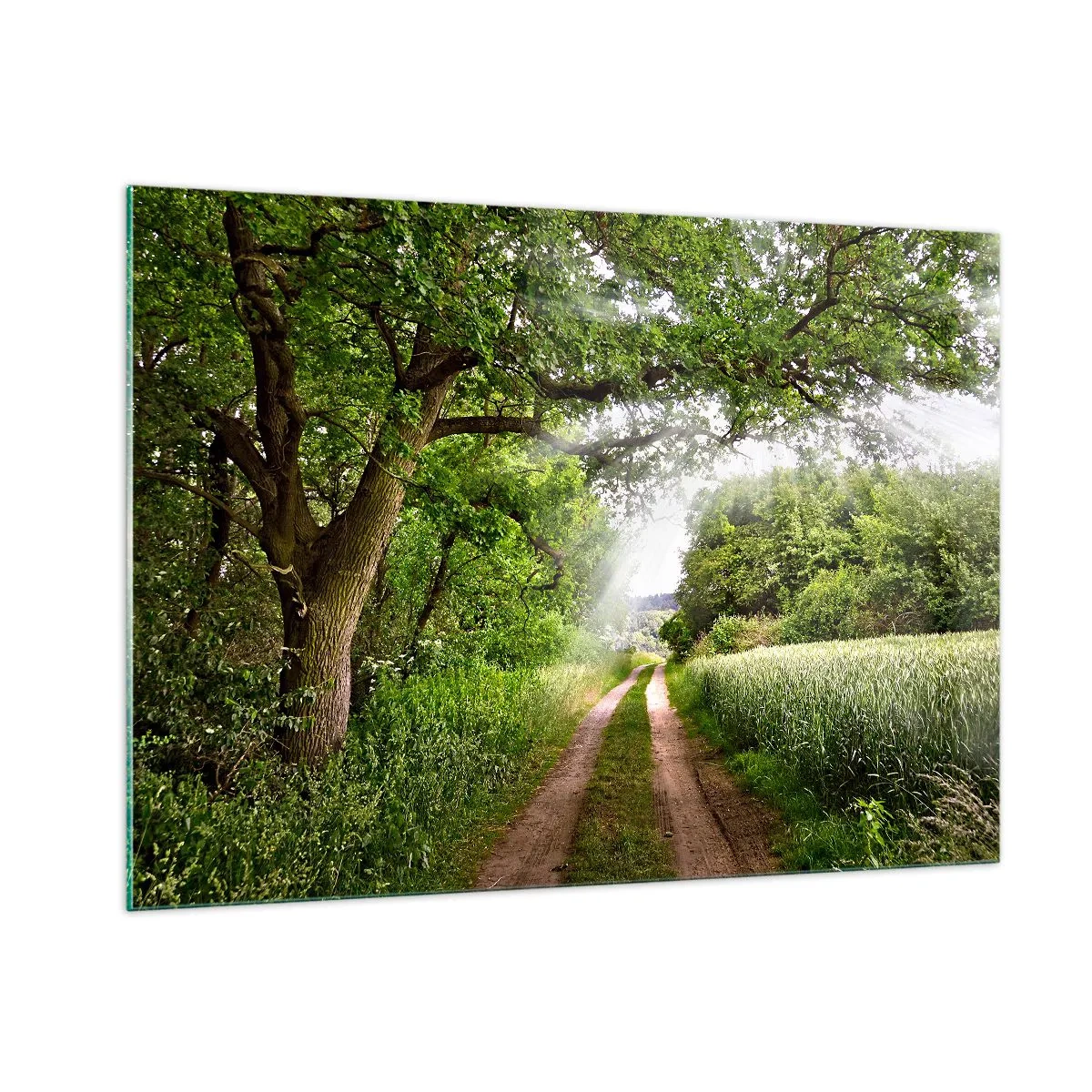 Glastavla - Bild på glas - Et in Arcadia ego - 100x70 cm