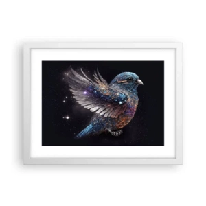 Affisch i vit ram - Diamant sparv - 40x30 cm