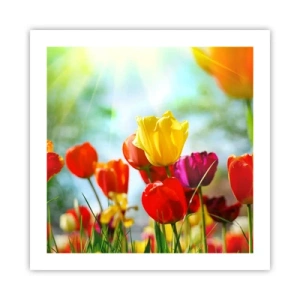 Affisch - Solens alla färger - 50x50 cm