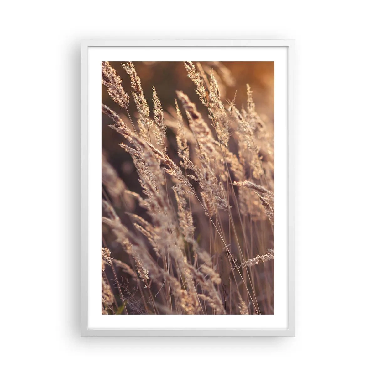 Affisch i vit ram - Redo att välkomna hösten - 50x70 cm