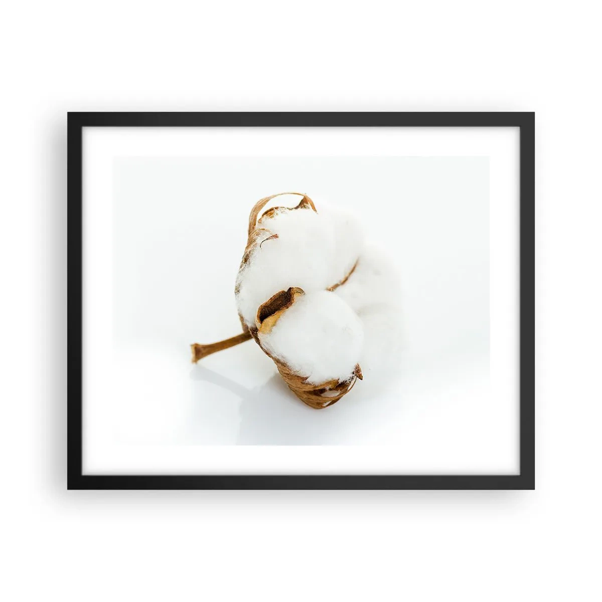 Affisch i svart ram - Mjuk av naturen - 50x40 cm