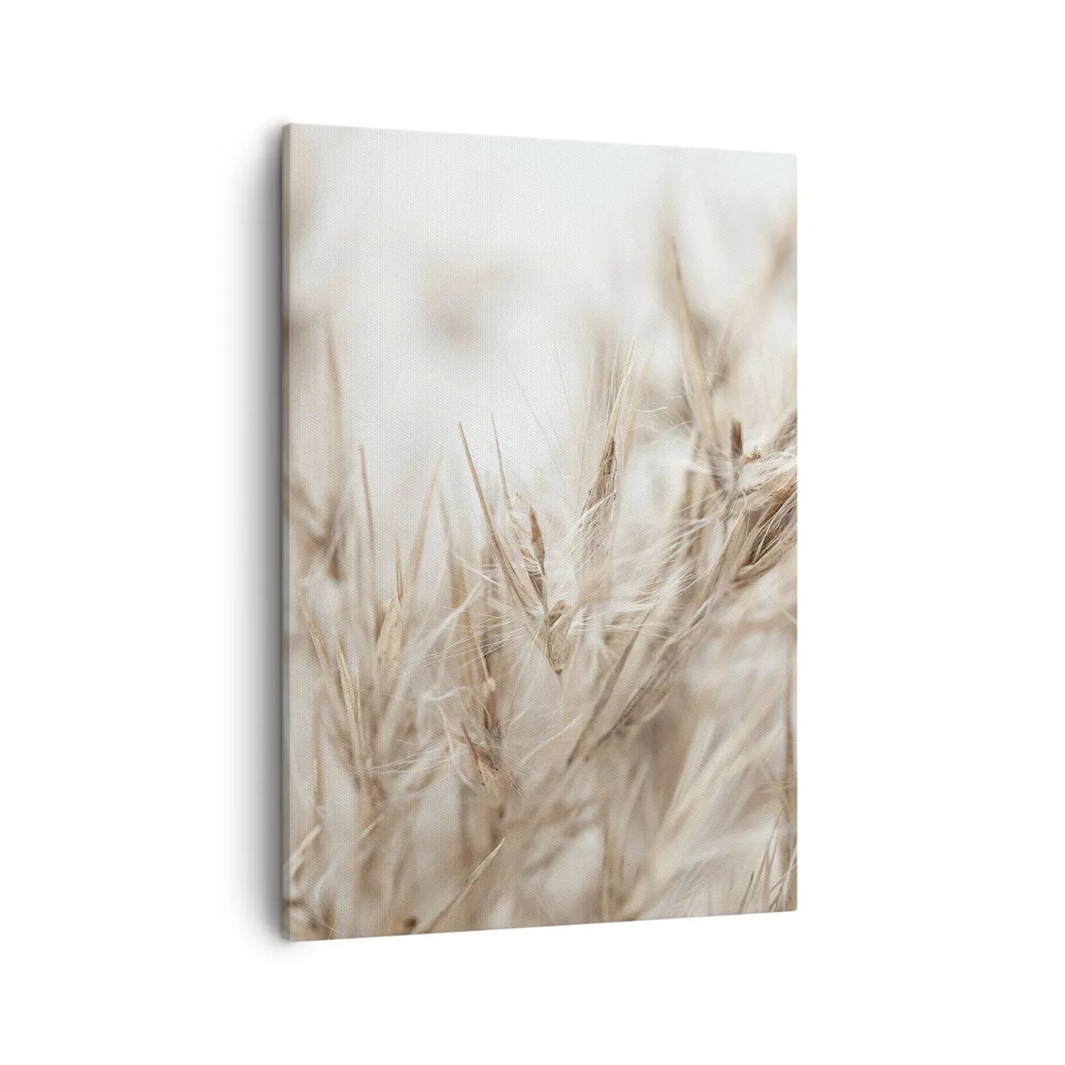 Canvastavla - Bild på duk - Äng och vind - 50x70 cm