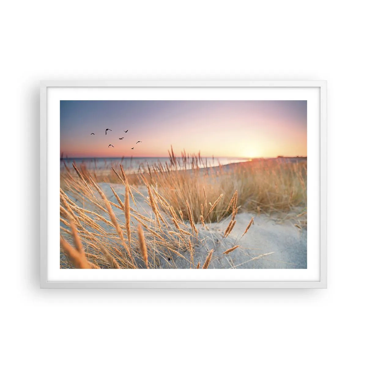 Affisch i vit ram - Östersjövaggvisa - 70x50 cm