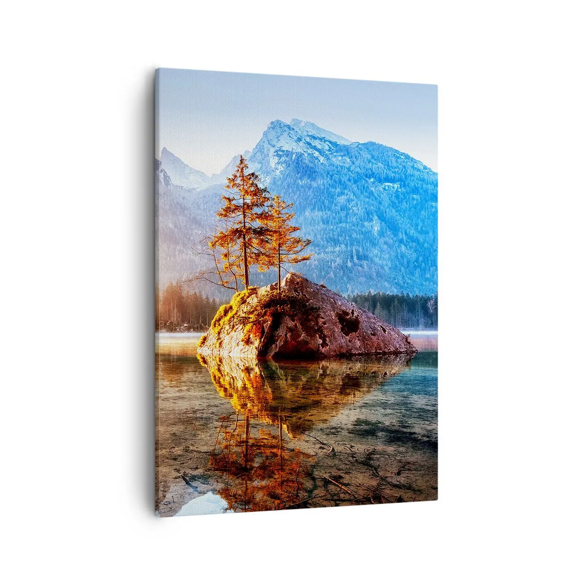 Canvastavla - Bild på duk - Naturen i ett nytt ljus - 50x70 cm