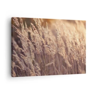 Canvastavla - Bild på duk - Gyllene gräs mot bakgrund av den nedgående solen - 70x50cm - Redo att välkomna hösten - Modern väggdekoration för vardagsrum och sovrum ARTTOR
