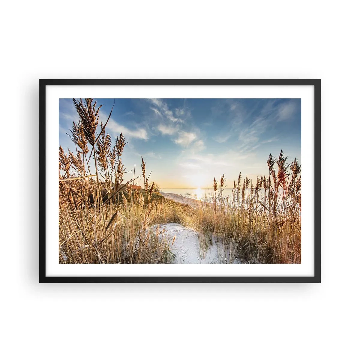 Affisch i svart ram - Nordlig strand - 70x50 cm