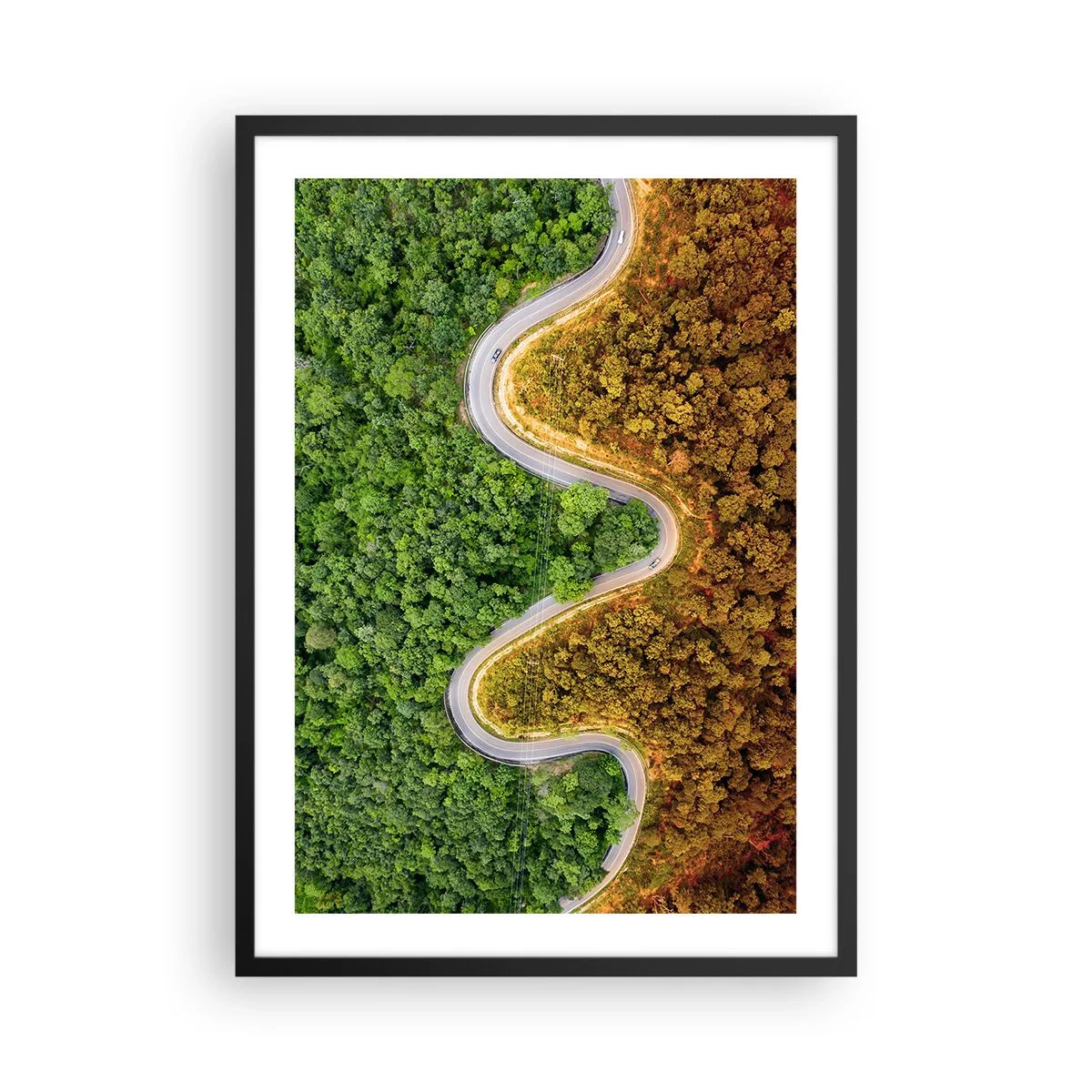 Affisch i svart ram - En väg som slingrar sig genom en skog uppdelad i gröna och höstliga delar - 50x70cm - Gränser och genombrott - Modern väggdekoration för vardagsrum och sovrum ARTTOR
