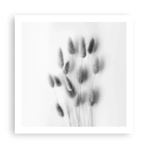 Affisch - Fluffigt gräs - 60x60 cm