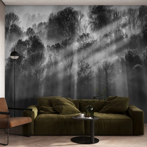 Fototapet Premium Canvas - I ljusstrålar - Landskap, Skog, Svartvitt - 500x350 cm