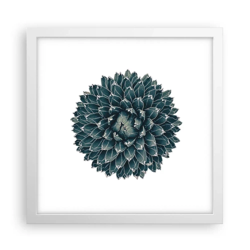 Affisch i vit ram - Öknens stjärna - 30x30 cm