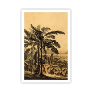 Affisch - I kolonial stämning - 61x91 cm
