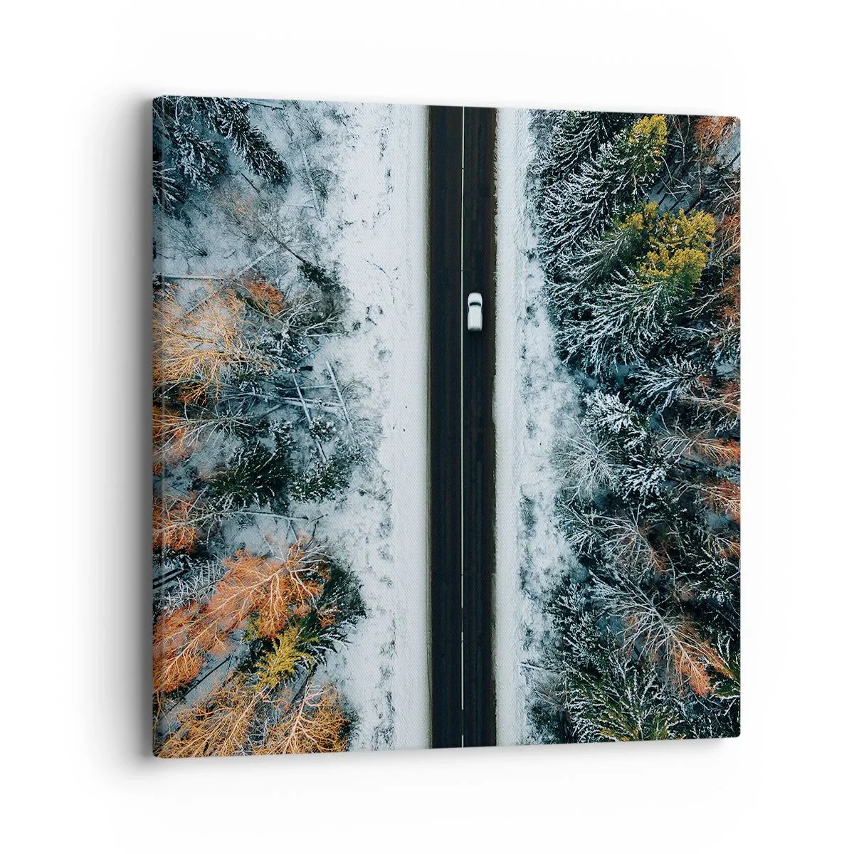 Canvastavla - Bild på duk - Genom vinterskogen - 40x40 cm