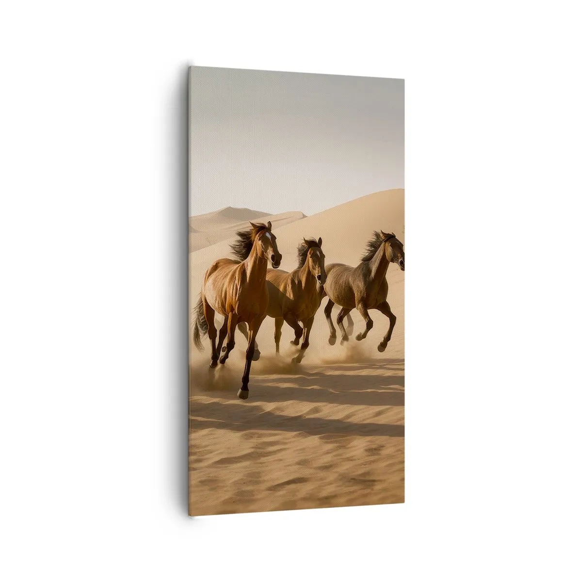 Canvastavla - Bild på duk - Fri som vinden - 65x120 cm