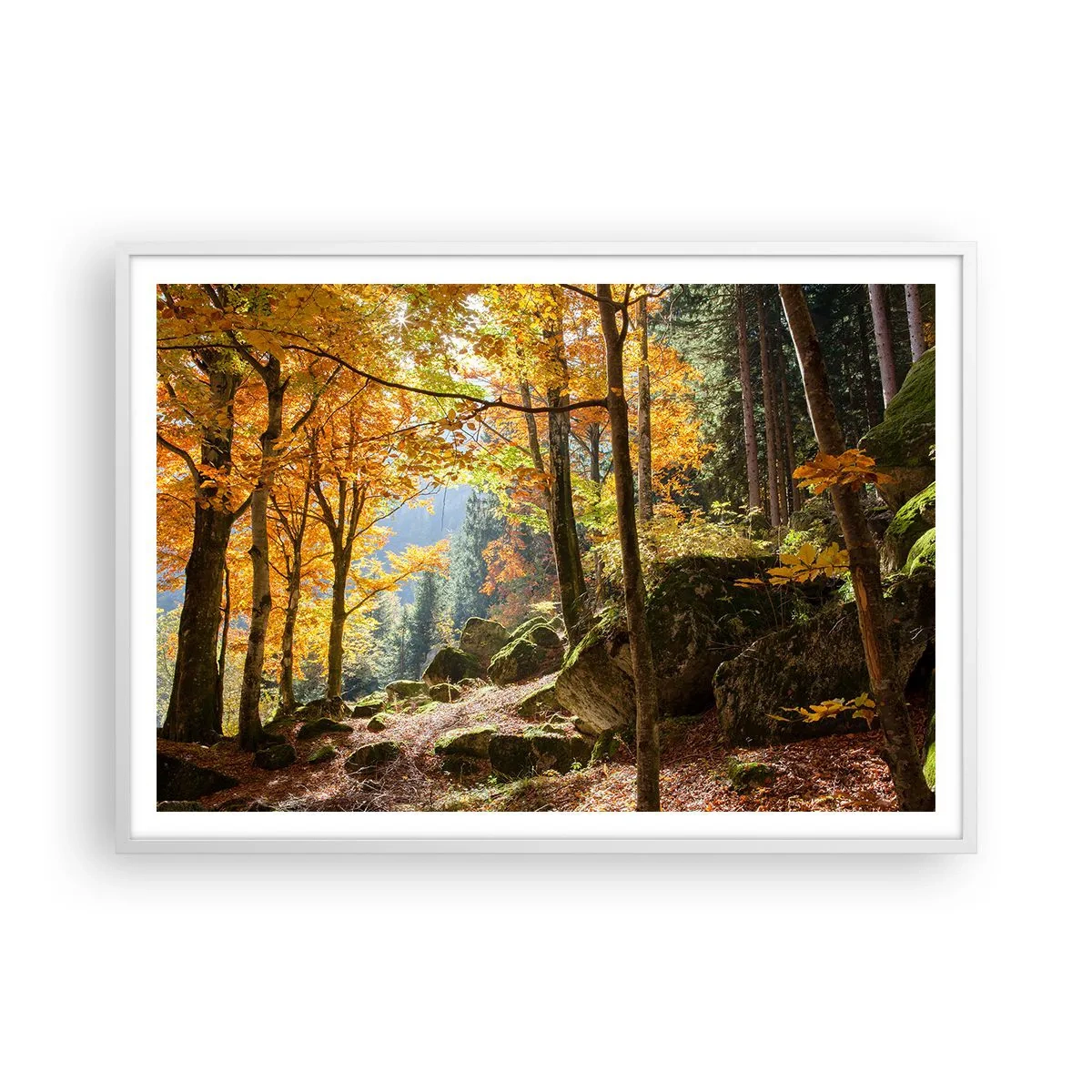 Affisch i vit ram - Dags att vila - 100x70 cm